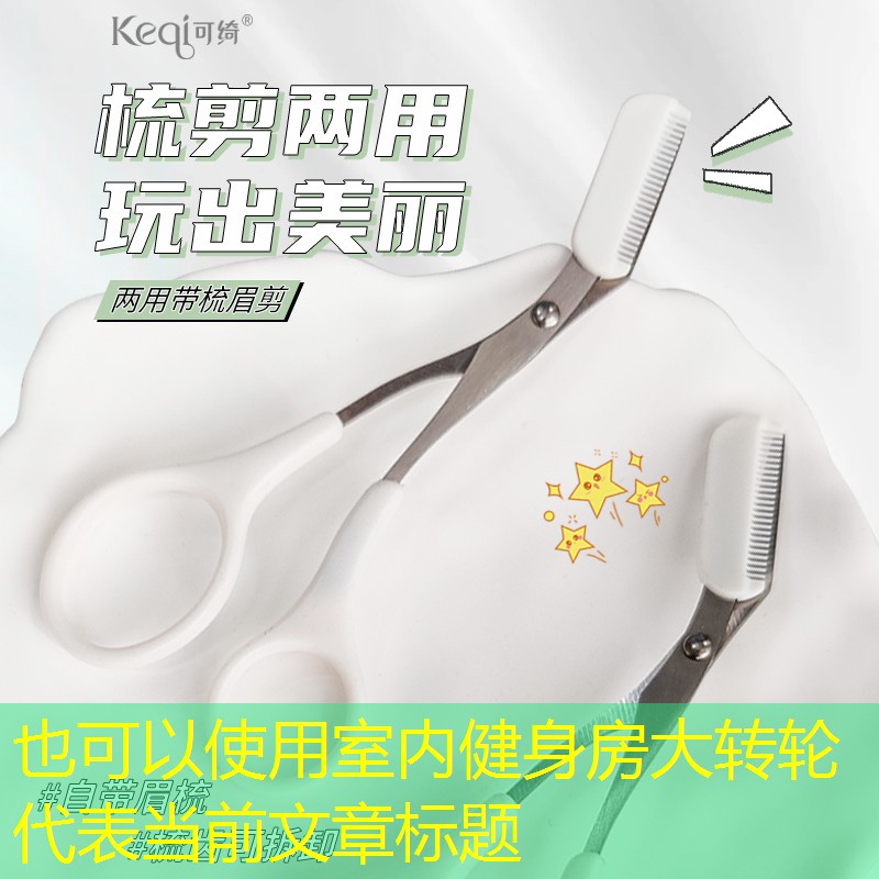 室内健身房大转轮